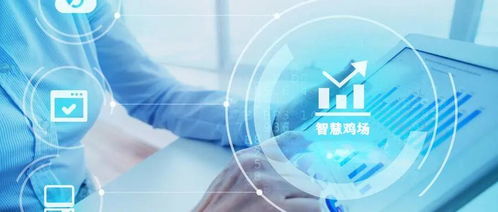 自動(dòng)化生產(chǎn)與信息技術(shù)的深度融合 打造新概念智慧雞場(chǎng)